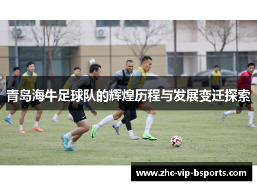 青岛海牛足球队的辉煌历程与发展变迁探索