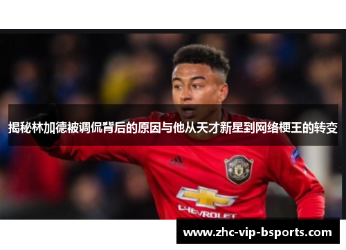 揭秘林加德被调侃背后的原因与他从天才新星到网络梗王的转变